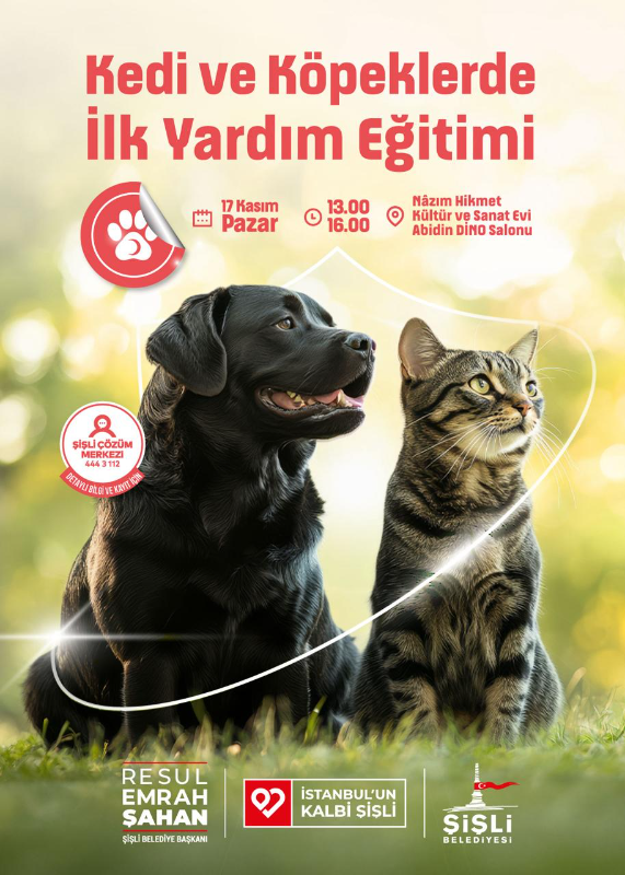 KEDİ VE KÖPEKLERDE İLK YARDIM EĞİTİMİ